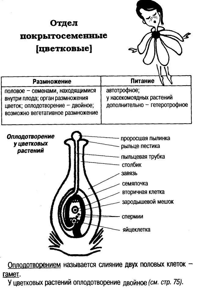 Задания биология заключительный этап. Половое размножение покрытосеменных растений схема. Размножение покрытосеменных ЕГЭ. Размножение покрытосеменных схема. Размножение покрытосеменных схема ЕГЭ.