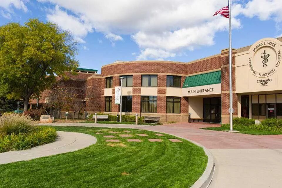 Schools in the usa