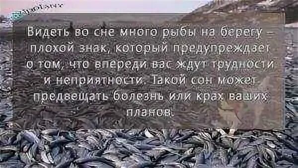 Почему трудно удержать в руке пойманную рыбу. Видеть во сне рыбу. к чему снится рыба. приснилось поймал много рыбы. сонник рыба во сне.