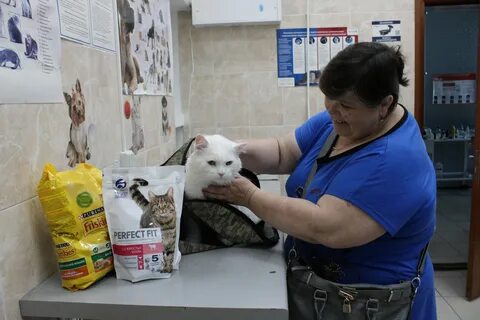 Ветеринар ульяновск