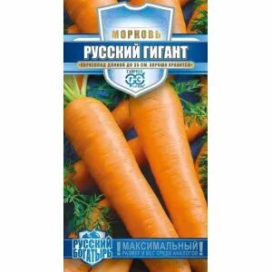 Гавриш русский богатырь