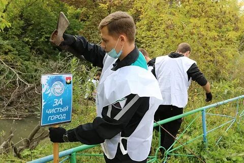 Чистый город кемерово телефон