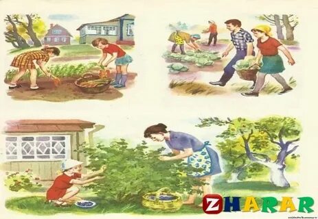 Бейне мастурбация