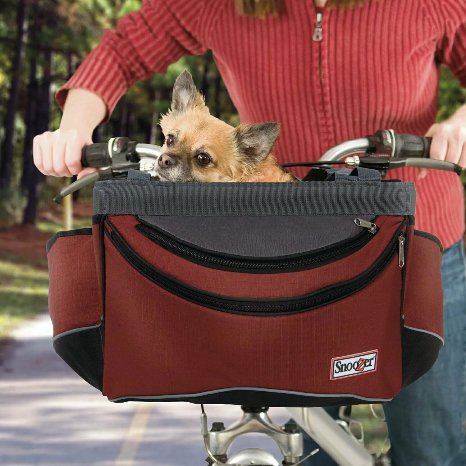 Pet racer. Велосидение для собак buddy Rider. Buddy Rider кресло для собак. Велокорзина для собак Базил Бадди. Велокорзина для собак Ферпласт.