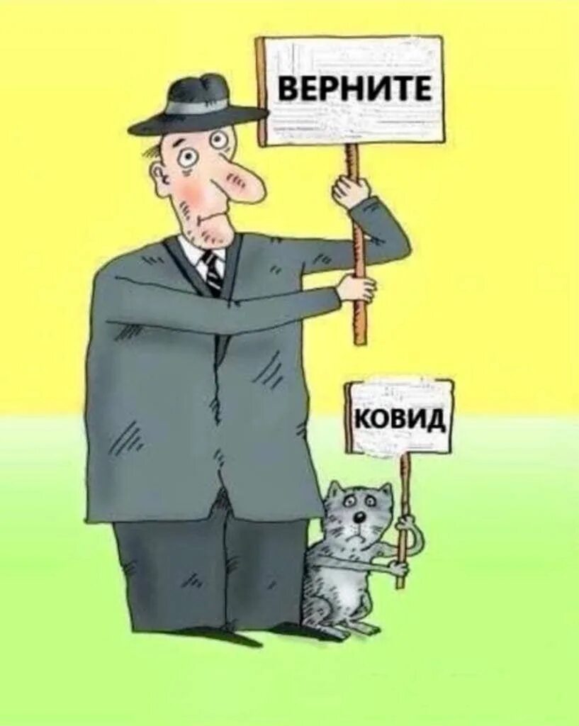 Вернись и проголосуй