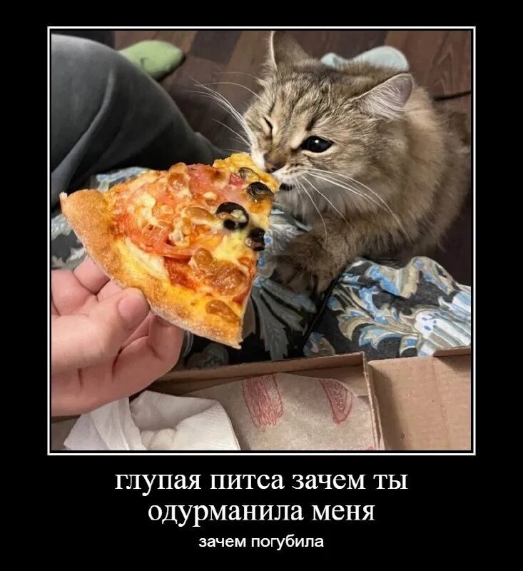 тутурутутутутут ВКонтакте