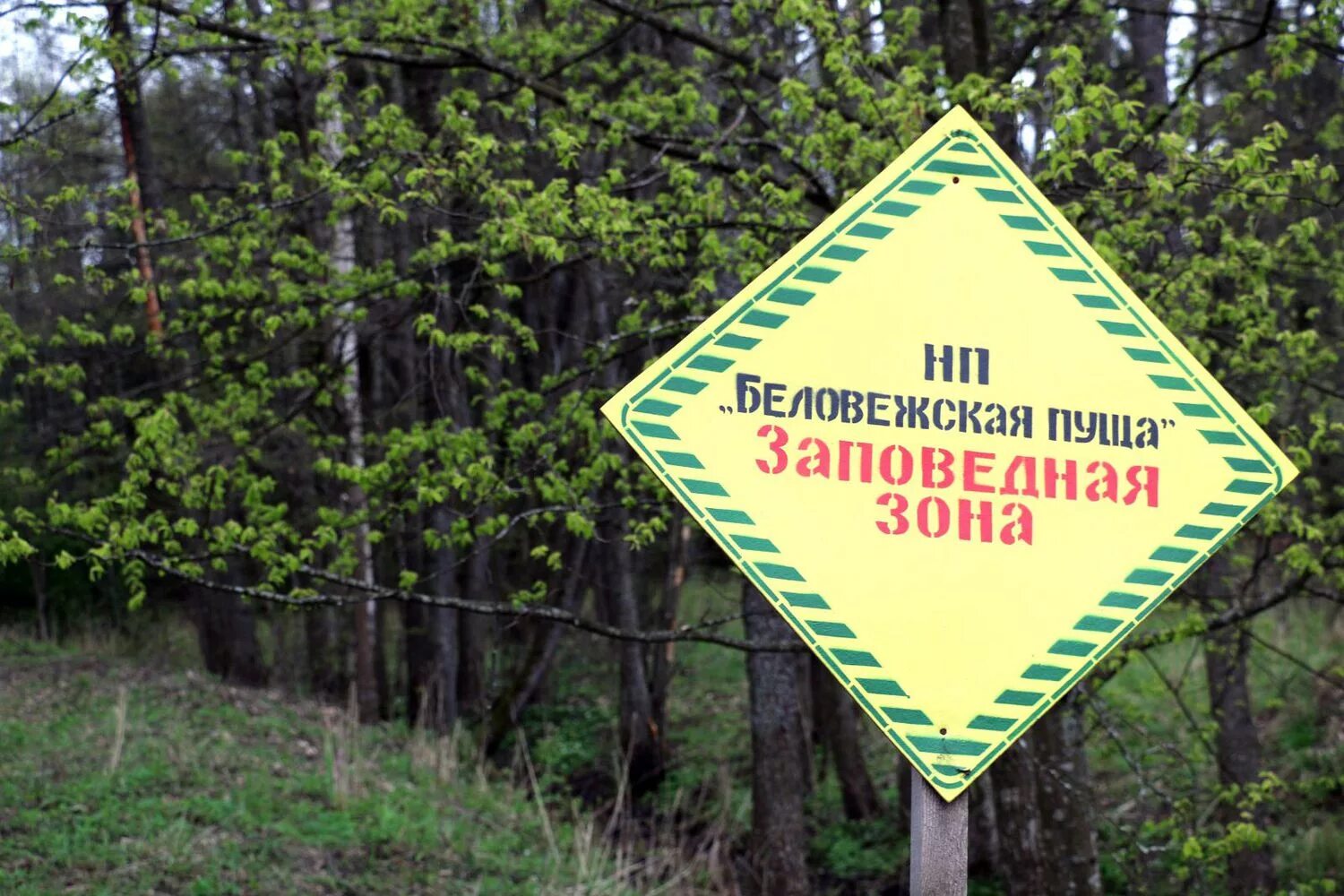 Заповедная зона парка. Зоны национального парка лосиный остров. Зоны национального парка лосиный остров. Заповедная зона парка. Заповедная зона парка.