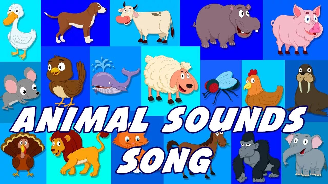 Animal rhymes. Kids TV 123 animal Sounds. Animals Song. Animal Sounds Song for Kids. Малышман ТВ звуки животных.