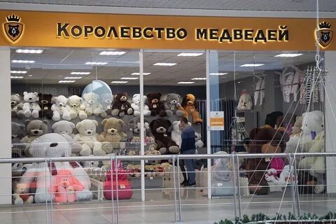 Тц медведь