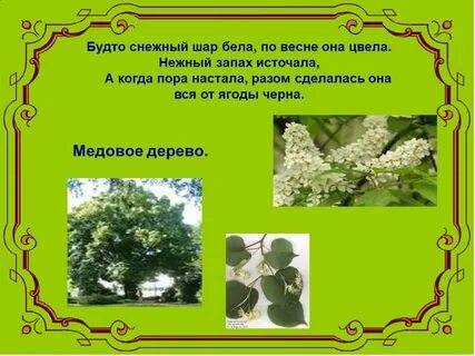 Будто снежный шар бела