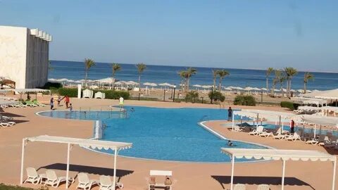 Raouf international