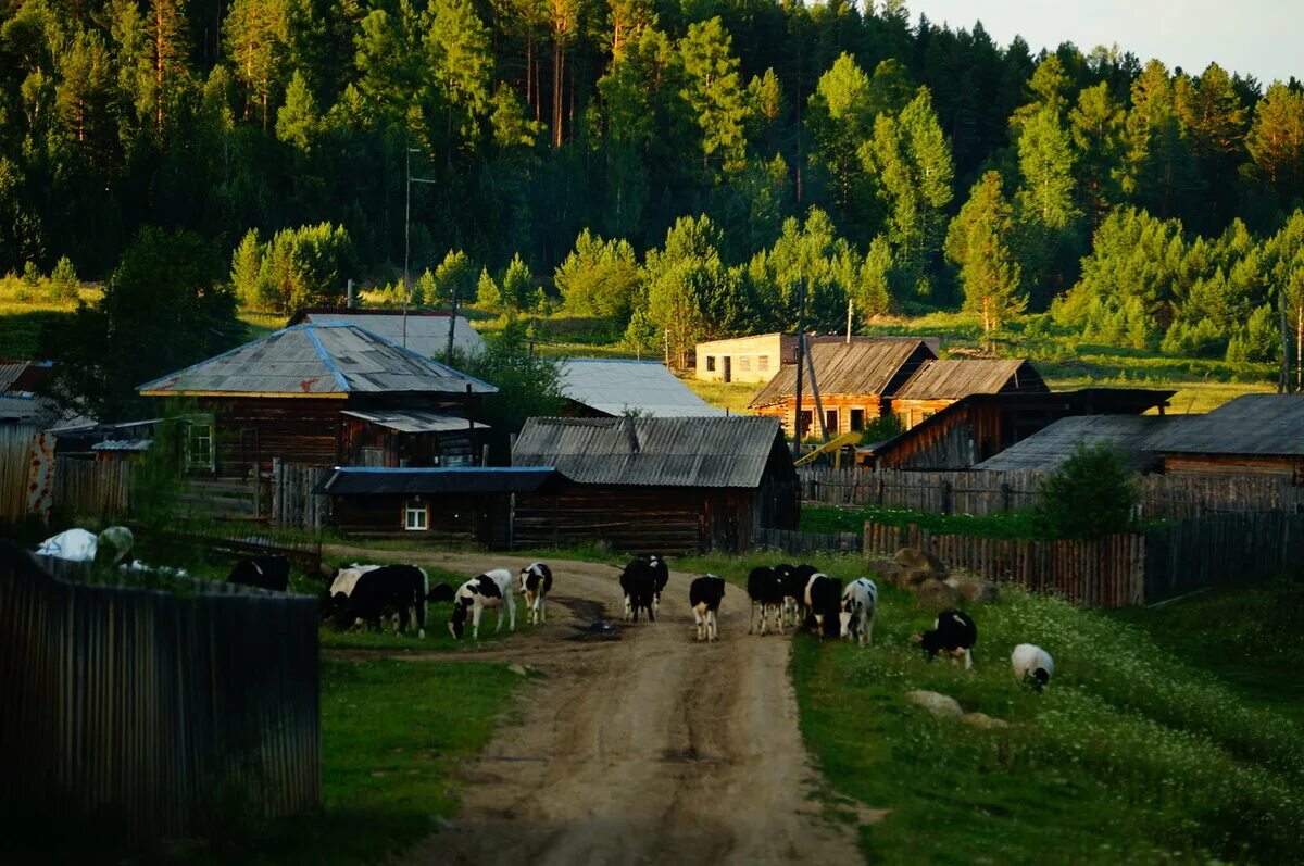 Rus village. Деревня деревенька. Рсская деревня в Росси. Сельская местность. Красивая деревня.