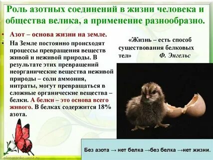 Зачем нужен азот в воздухе