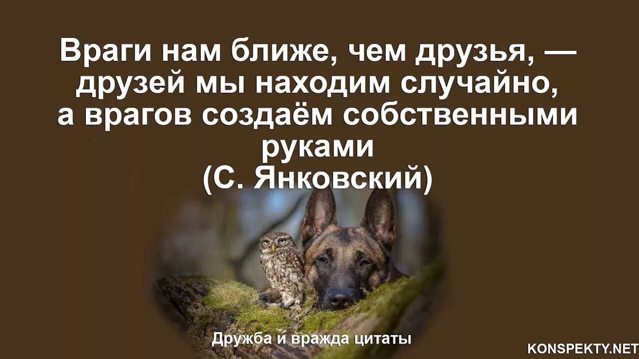 Друзья цитаты великих. Мудрые высказывания о дружбе. афоризмы великих людей о дружбе. великие фразы про дружбу. цитаты про дружбу со смыслом.