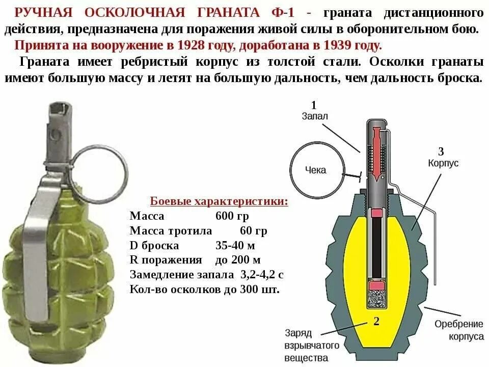 ТТХ ф1 гранаты. Устройство гранаты ф1 схема. Технические характеристики гранаты ф 1. Граната Лимонка ф1 характеристики.