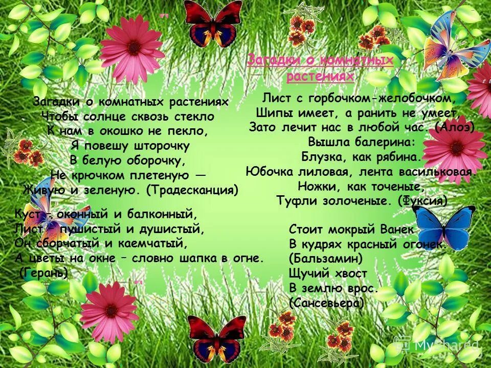 летние месяцы. растения летом текст. рассказ про лето. стихи о лете и цветах. стихи о лете короткий.