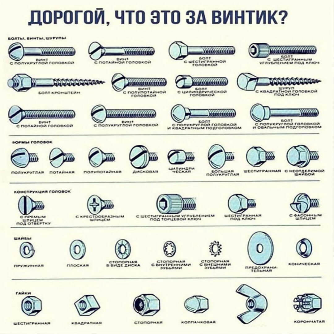 Классификация болтов и винтов. Классификация шуруп винт болт. Разновидности шурупов саморезов болтов. Классификация метизов таблица. Каких видов бывают размеры