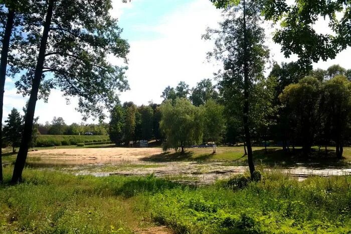 Погода марьина горка. Марьина горка красивые места. Погода в марьина горка на 10 дней. Набережные челны залесный проспект 65. Марьина горка.