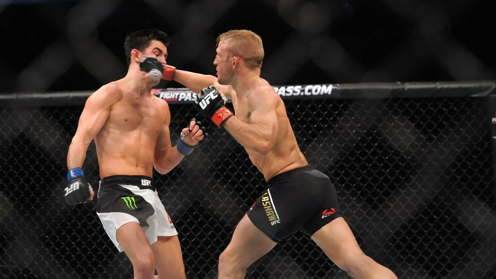 Юфс. Канонир юфс. Doyus. Юфс 271. Джейми пикетт боец ufc.