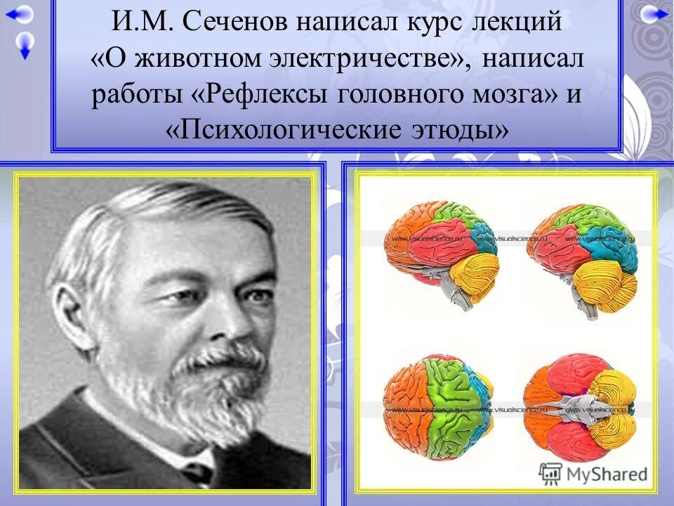 Книга рефлексы головного мозга. Рефлексы головного мозга Сеченов. И М Сеченов.