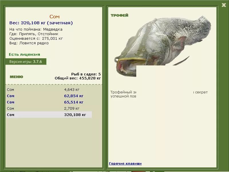 ловля осетра на ангаре. игра игра русская рыбалка 3. русской рыбалке 3 7 5. русская рыбалка 7. рыбы русской рыбалки 3.