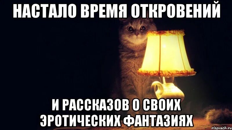 Настало время видео. Вечер откровений. Кот с лампой Мем. Настало время Мем. Откровение Мем.
