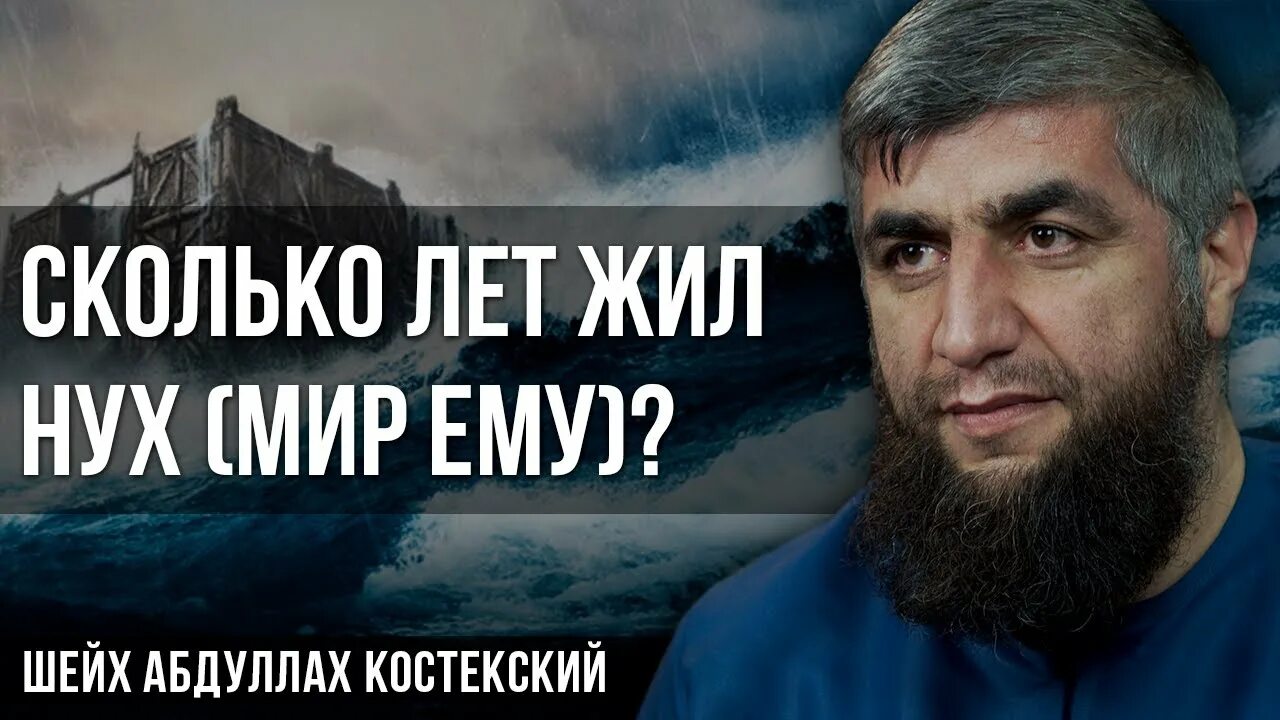 Сколько жил нух