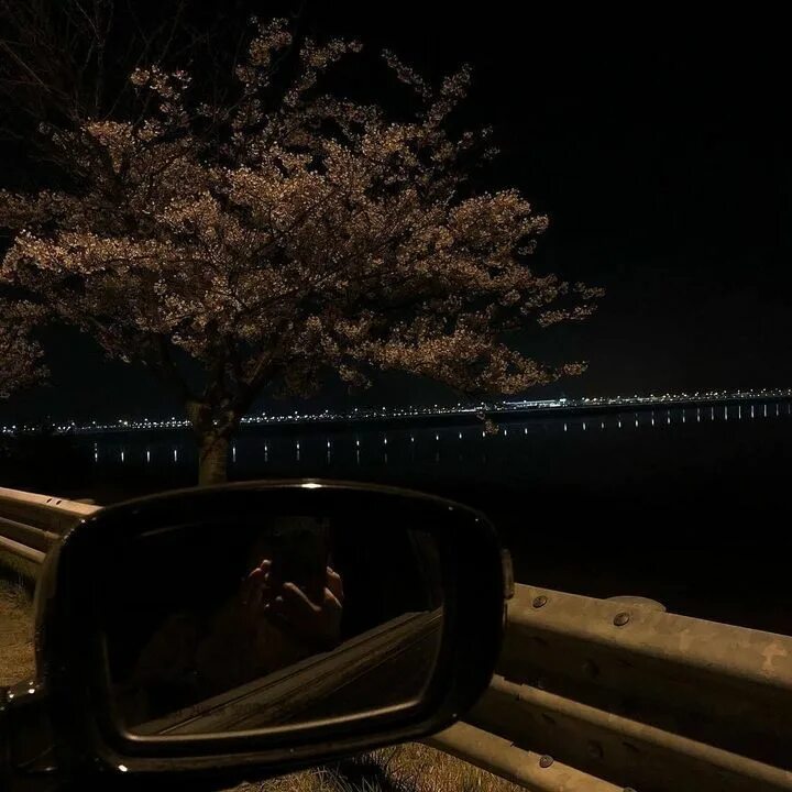 Late night walks. Late night. Late night walks. Late night walks. Late night walks.
