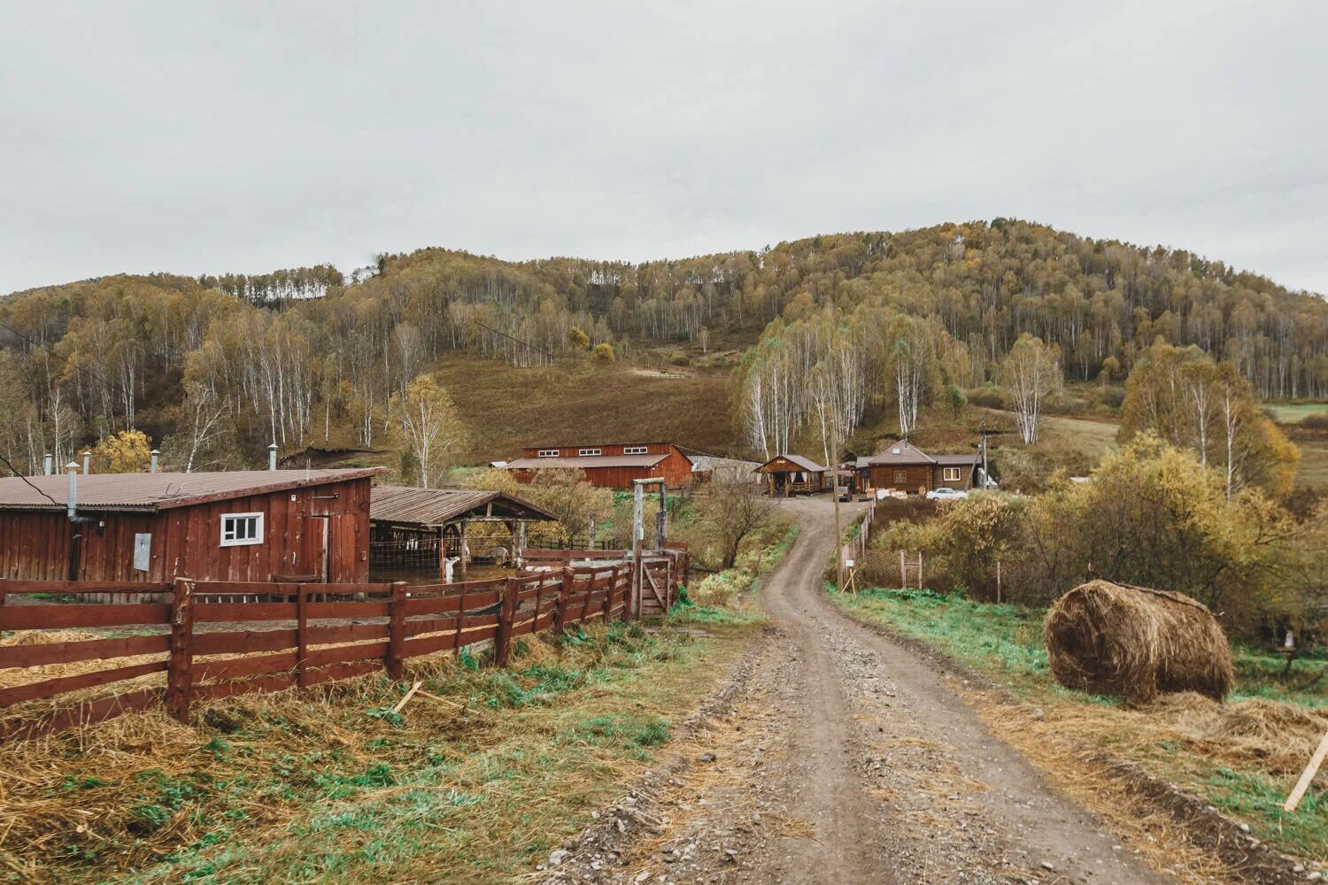 «Деревня Басаргино» Алтай. Алтайский край деревни и села. Деревня Алтайская Алтайский край. Деревня Каурова Алтайский край.