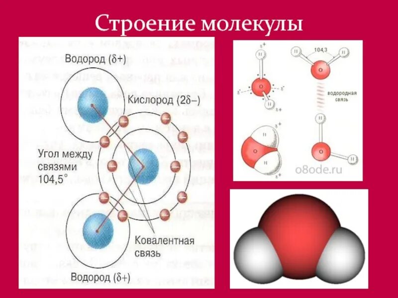 Внутреннее строение молекул воды. Схема структуры молекулы воды. Схема соединений молекулы воды. Вода строение молекулы воды. Строение молекулы.