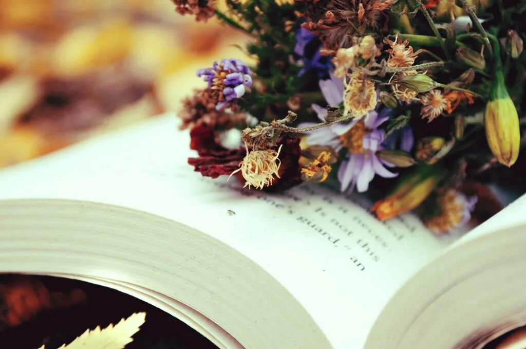 Последний осенний цветок книга. Книга цветы. книги и цветы осень. открытка с книгами. книги и осень открытки.