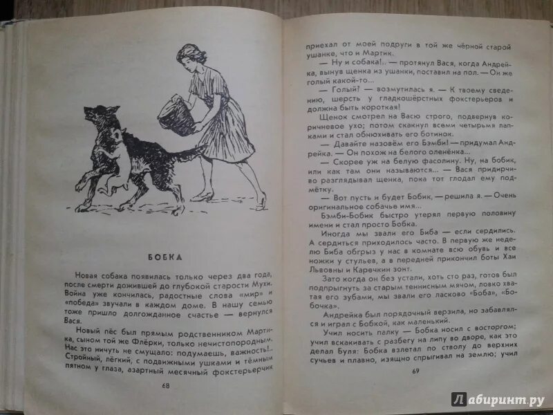 Пять моих собак книга. Книжки про собак рассказы. Вот собака книга. Мой пес по кличке уши попал