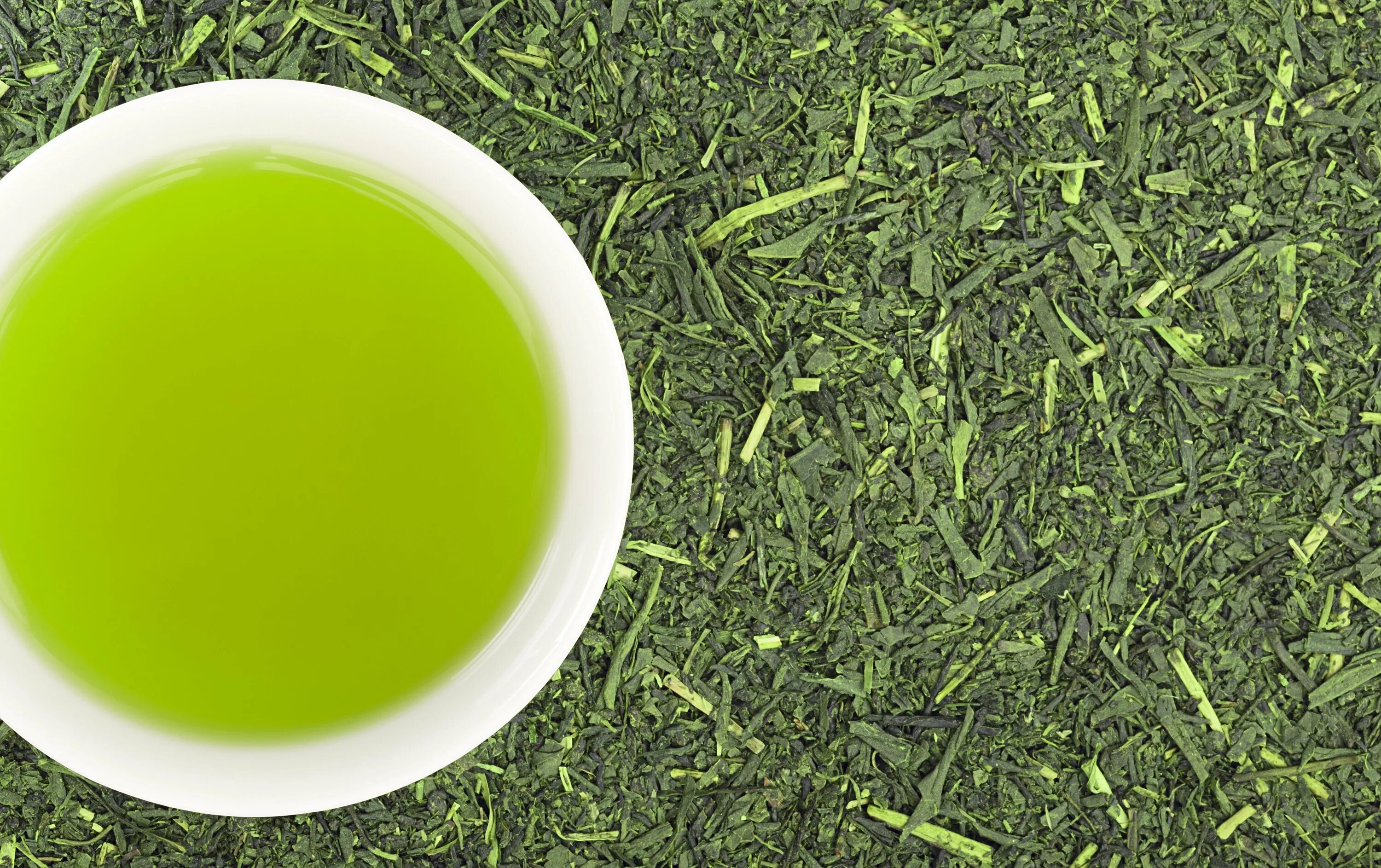 Где купить зеленый чай. Зеленый чай Green Tea. Зеленый чай Сенча. Листья чая. Салатовый чай.