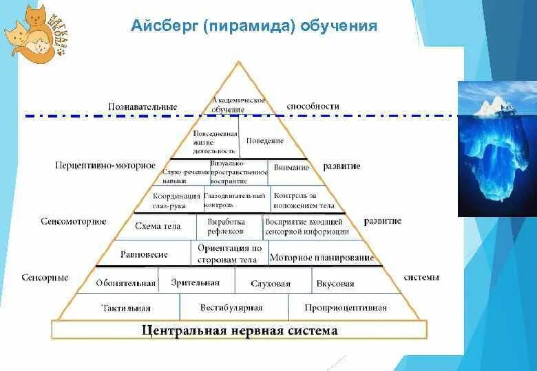 Вильямс шелленбергер. Пирамида развития ребенка вильямс и шелленбергер. пирамида вильямса шелленберга по возрастам. пирамида формирования речи у детей. пирамида обучения вильямса.