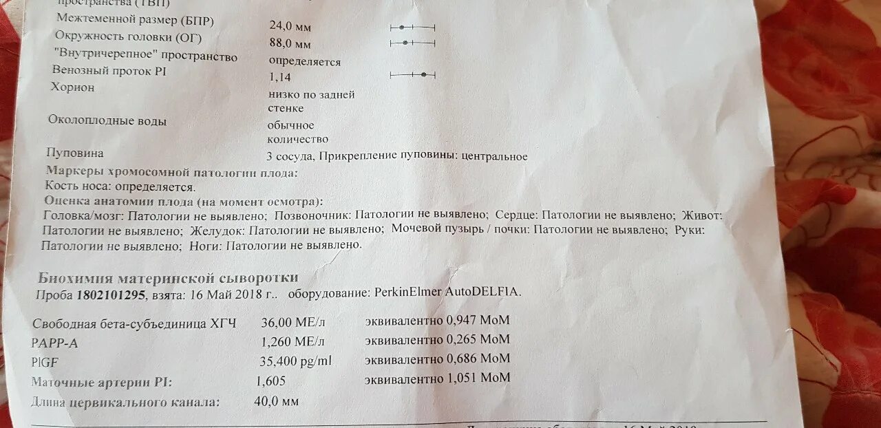 Papp-a 0. Papp-a норма первый скрининг. Низкий papp a. Низкий papp a. Рарр-а норма при первом скрининге.