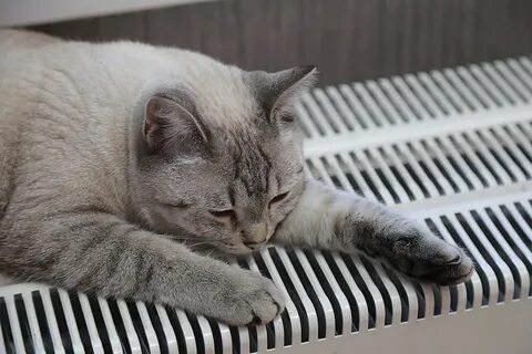 Красноярск дали отопление
