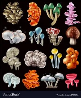 Collect mushrooms