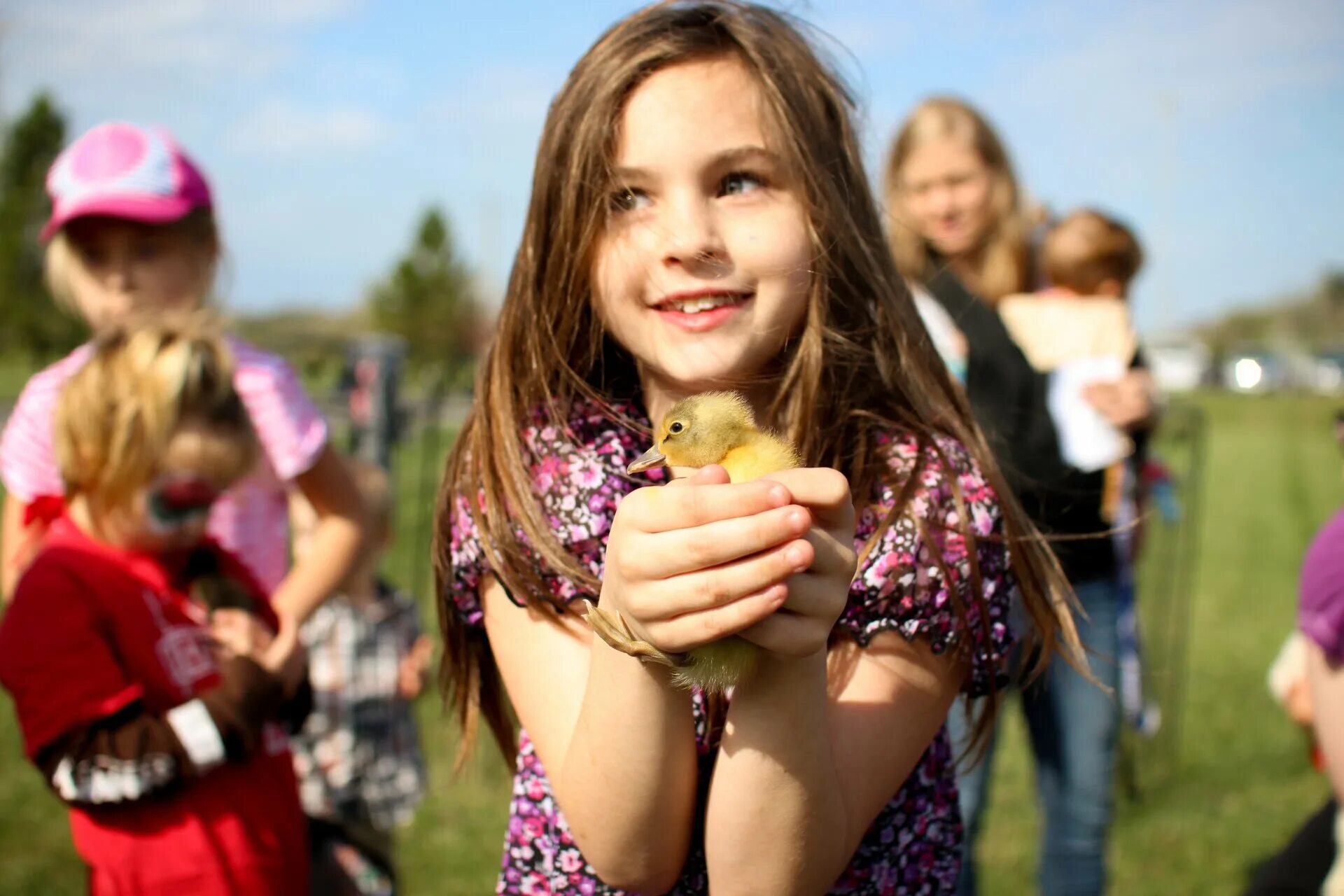 Unique girls. Цыпленок для детей. Easter children. Girl with a Duck. Фотосессия с цыплятами и детьми.