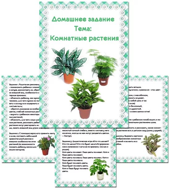 комнатные растения домашнее задание. лексическая тема комнатные растения в старшей группе. комнатное растение рисунок. задания для детей. нищева комнатные растения старшая группа.
