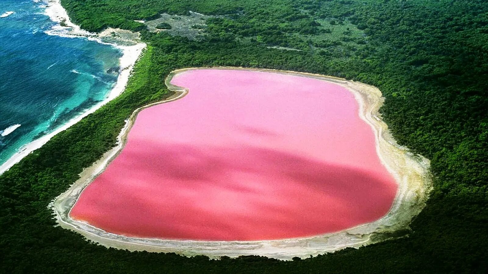 Самые большие водоемы на планете это