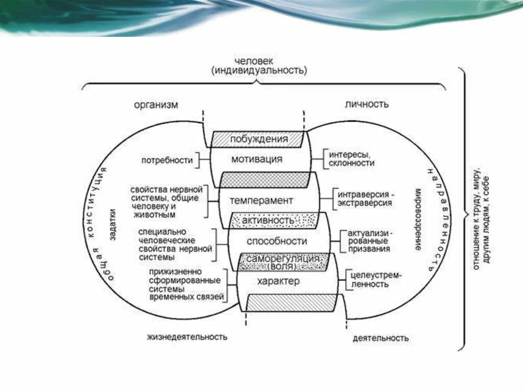 Схема личность индивид индивидуальность человек. Соотношение понятий темперамент характер личность. Личность. Индивид. Индивидуальность. Структура личности в психологии. Структура индивида схема. Психологическая структура темперамента