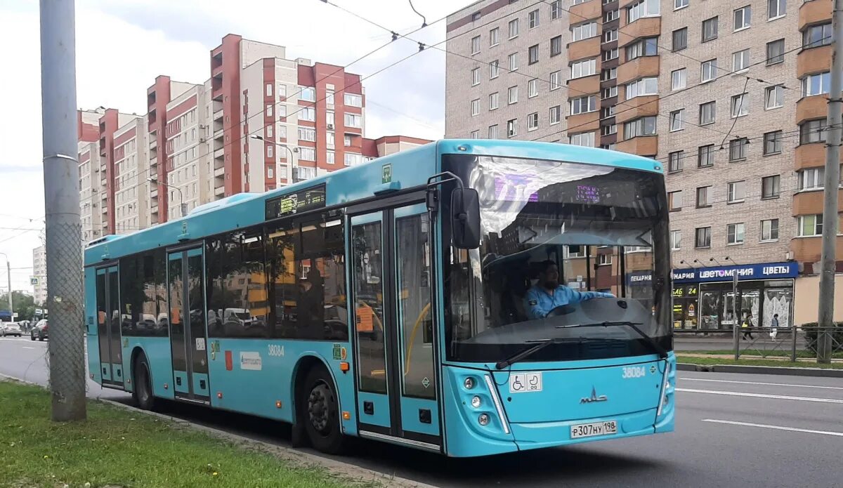 Остановки 237 автобуса спб. МАЗ 203.947. МАЗ 203 2022. МАЗ 203 экобус. МАЗ-203.947 салон.