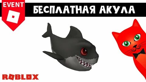Как получить акулу