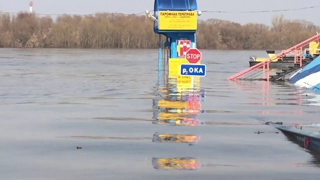 Река Ока Дединово. Разлив Оки 2023 Луховицы. Разлив реки Дединово. Дединово Луховицкий район разлив.