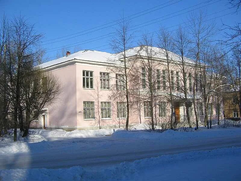 Стажировка молодых специалистов. Центр помощи семье и детям вологда. Территориальные коллективы. Территориальный центр помощи детям вологда. Территориальный центр помощи детям вологда.