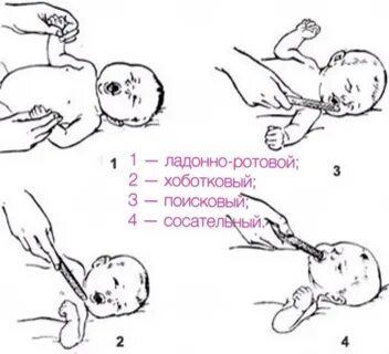 Ладонно ротовой рефлекс