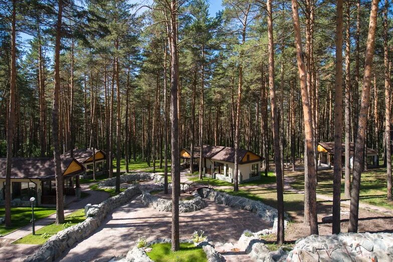 Гостиница шишка новосибирск. Парк вуд отель новосибирск. Парк отель сосновый бор новосибирск. Парк отель новосибирская. Грааль кемерово парк-отель.