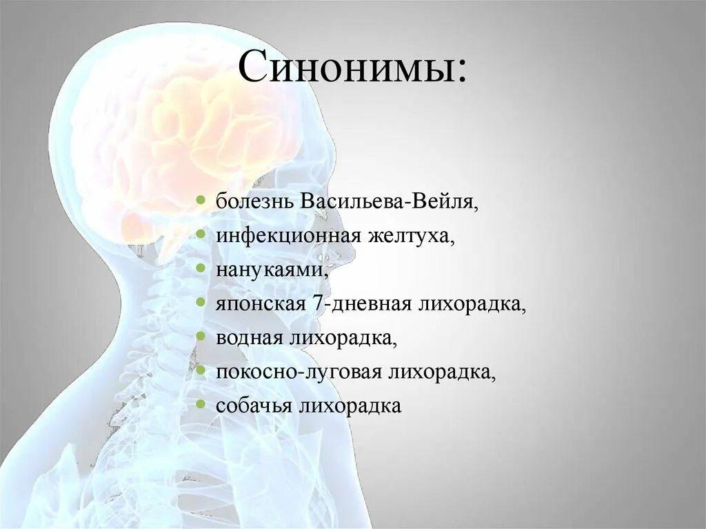 Болезнь синоним с не существительное. Болезнь синоним. Причина болезни синоним. Язык синонимы болезни. Кьясанурская Лесная болезнь синонимы.