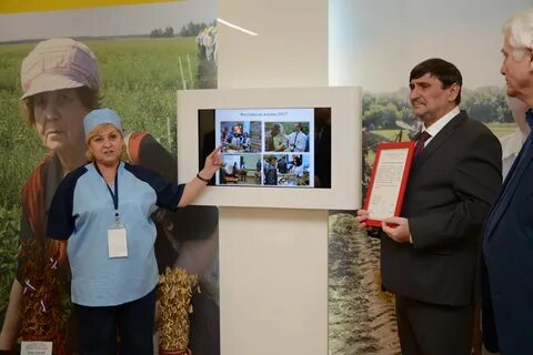Система электронной поддержки белгау