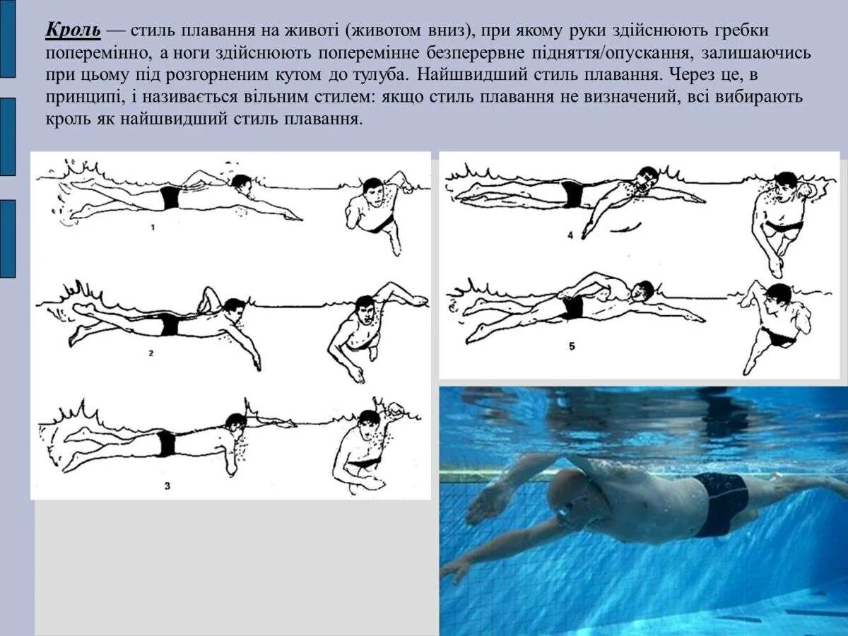 Кроль и брасс плавание. Стиль плавания Кроль техника. Техника Кроль на груди- плавания в бассейне. Техника плавания брассом.